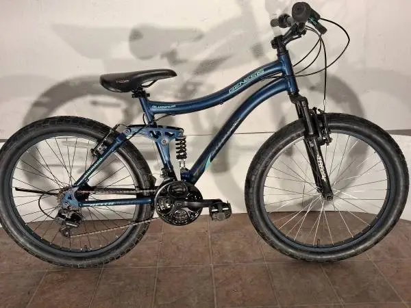 24 MOUNTAIN BIKES.$60