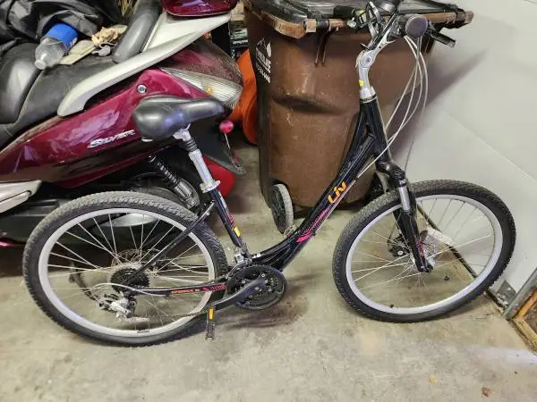 LIV Sedona W bicycle.