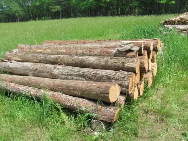 Cedar posts, cedar logs, cedar kindling
