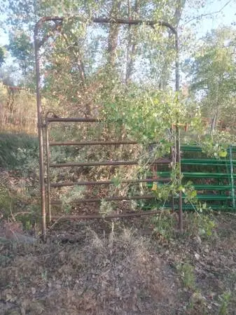 Bow swing gate