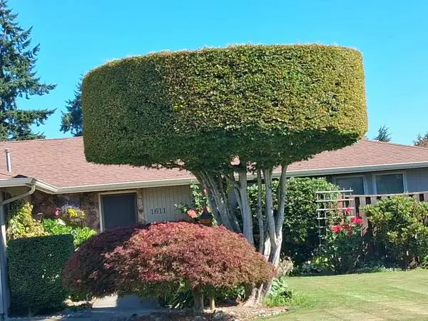 Gomez Landscaping (253)409-3565