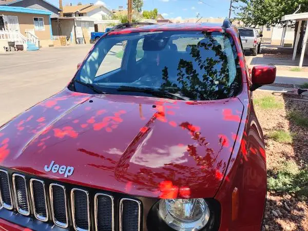 !! AUTO GLASS WINDSHIELD REPLACEMENT !!