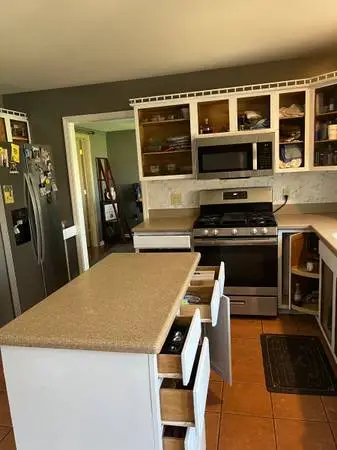 PAINTING 30 years in Business, perfected cabinet, painting