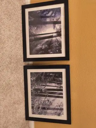 2 Forest Paintings