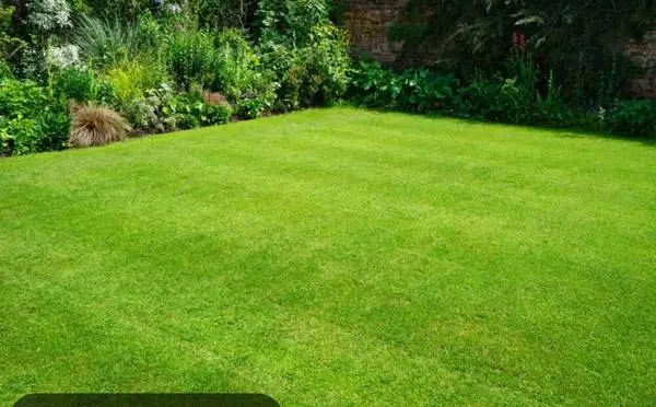 Lawn service,lawn mowing,pressure washing
