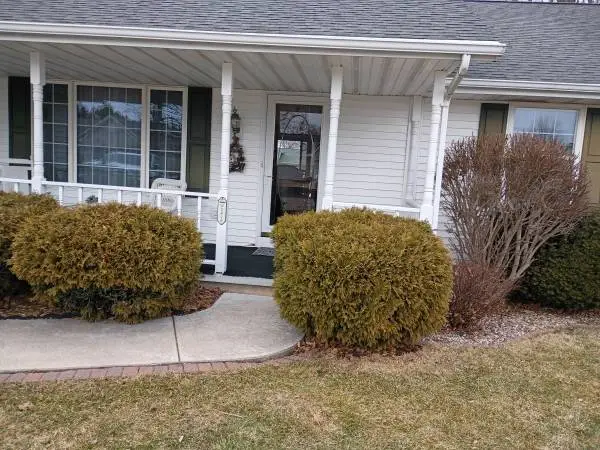 Roofing/Remodeling/WINDOWS