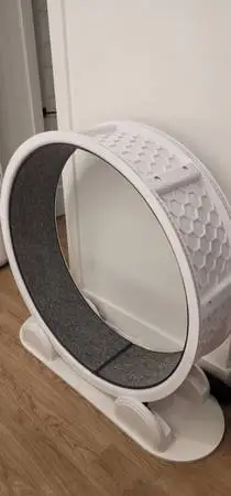 38 Cat Exercise Wheel