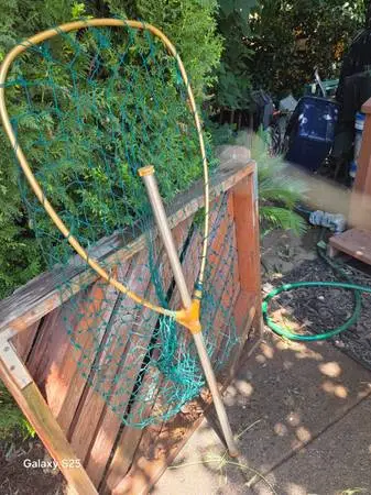 Fishing Net