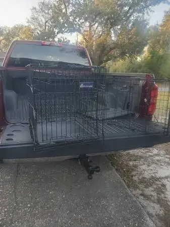 Medium Dog Crates