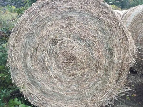 Round bales