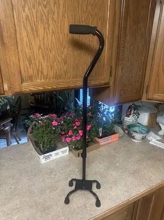 Four Footed, Adjustable Walking Cane