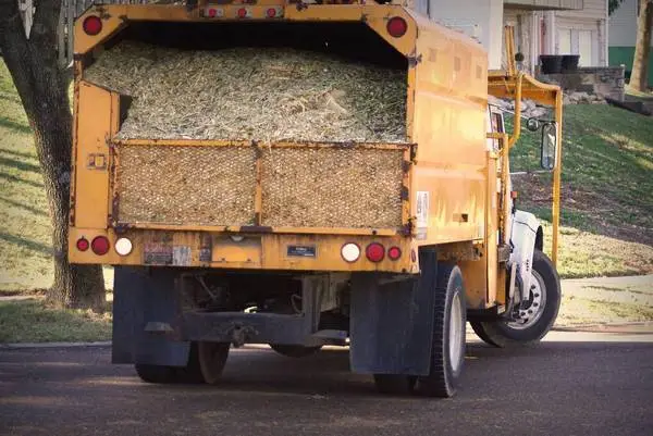 Wanted! Your wood chips Call or Text