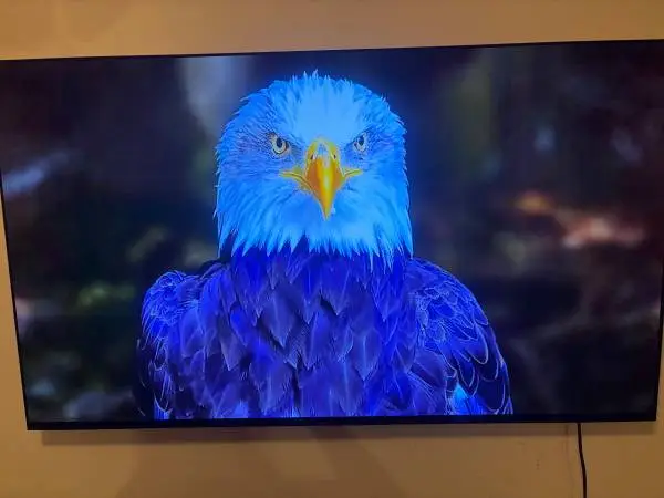 LIKE NEW 65 inch Sonia Bravia VIVID tv
