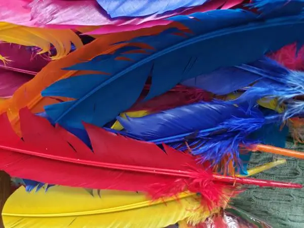Huge Lot of Craft Feathers. Multi Colors
