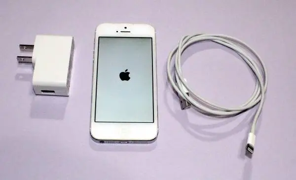Apple Iphone  Model: A1429