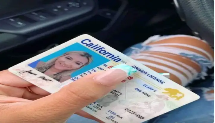 Buy Premium Driver License and ID Cards Online, Quick and Discreet.