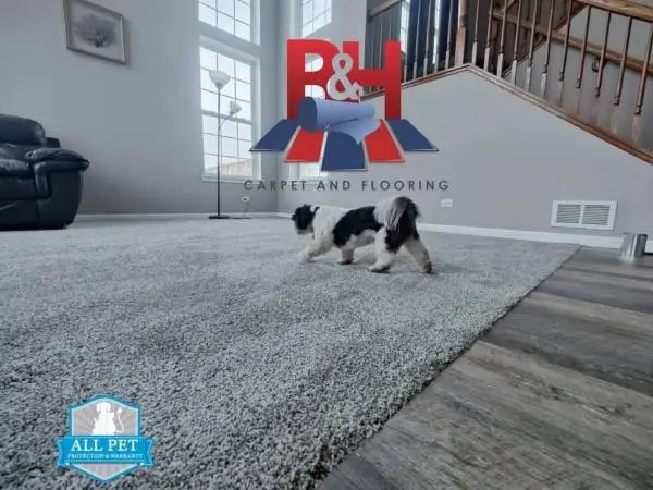 Stain Resistant Carpet starting at $1.99/sqf. Luxury Vinyl Flooring starting at