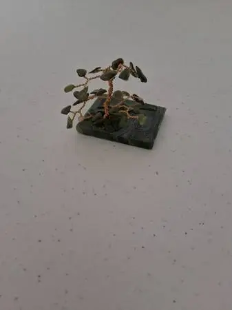 (REDUCED) - Jade Tree with Copper