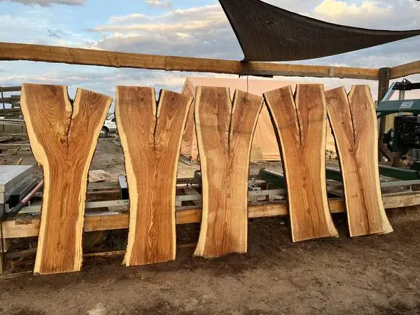 Locally and Sustainably Harvested Live Edge Slabs! 🤎🌳🪵
