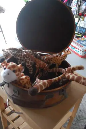 Case Full of Giraffe Stuff with costume