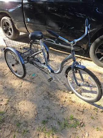 Schwinn 3 Wheel Adult Bike