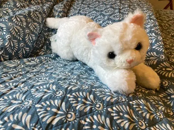 adorable plush kitty, like new with tags