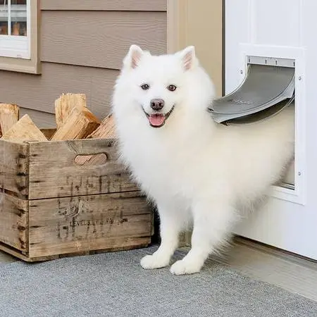 New Patio door for patio pet door