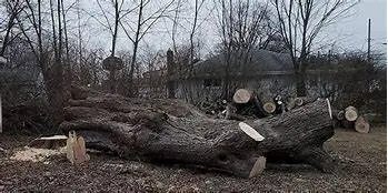 LANDSCAPING CONSTRUCTION 804 464 7265 FENCE SPRING CLEAN UP TREE CUT