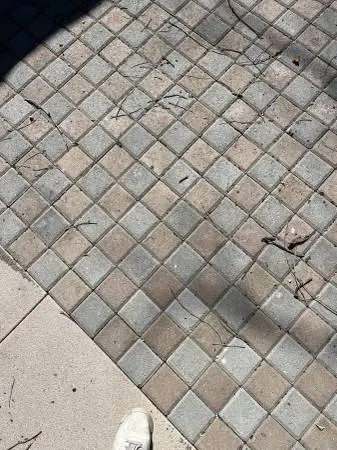 PAVER SALE 4 x 4 NEW LOW PRICE