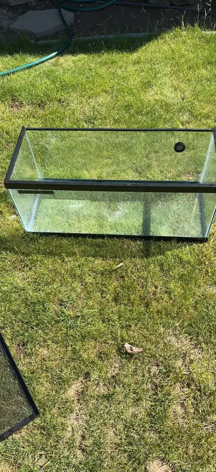 20 gallon reptile tank