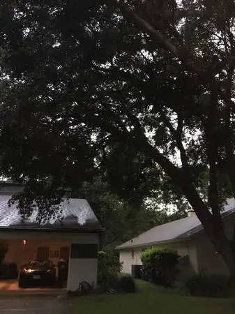 ☔TREE SERVICE*Landscaping*YARD CLEAN UP*LawnCare*Junk Removal 🌞