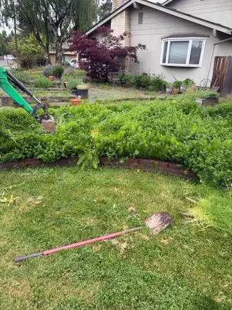 LAWN CARE SERVICE 🌸 🌺 RUNNING SPECIALS CALL TODAY 🍁 🍁