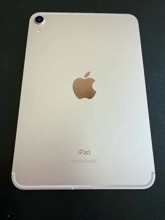 iPad mini 6th 256GB Cellular Unlocked