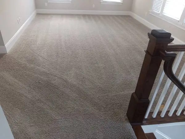 CARPET-RUG CLEANING & HOUSE CLEANING MOVING OUT/919-400-3681