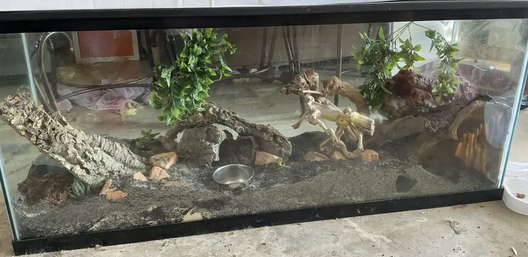 4'×13"x21" BIOACTIVE Reptile Enclosure + 3 Heat Lamps