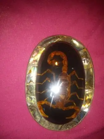 Big cool belt buckle