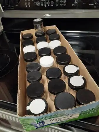 Tiny Glass Jars with Plastic Screw Lids (25)