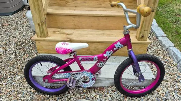 Schwinn 16 Bicycle