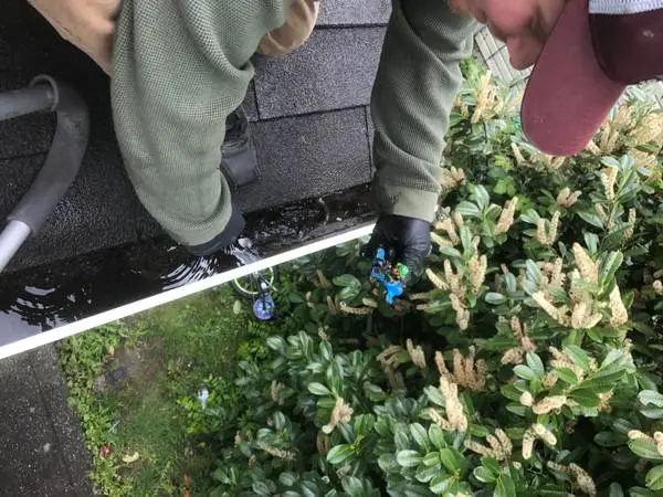 🍁🍁 GUTTER CLEANING & REPAIR | Whatcom GRC 🍁🍁