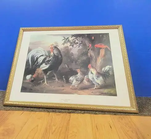 Vintage Framed Print Poultry and Other Birds 30 x 22