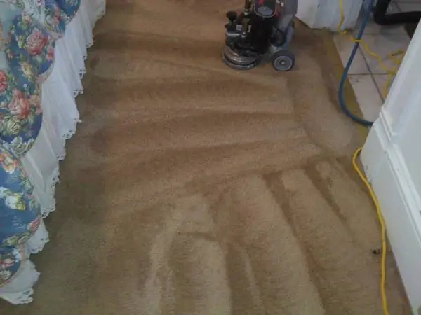 Carpet cleaning upholstery cleaning service Two rooms plus Hall $49.