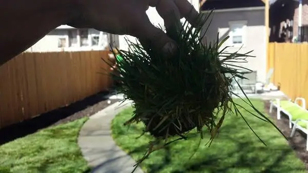 Sod installation/Grass Removal/ Measure And Call Length x Width =SQFT