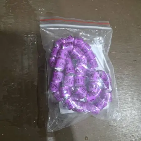 50pcs 2026 Homing Pigeon Feet Rings / Homing Pigeons / Pigeons