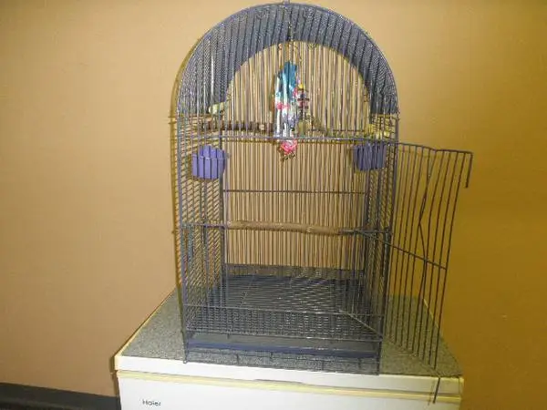 Prevue Small Parrot cage with stand and toys