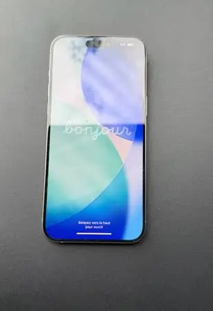 Iphone Pro Max