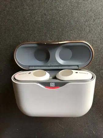 SONY Earbuds (new)