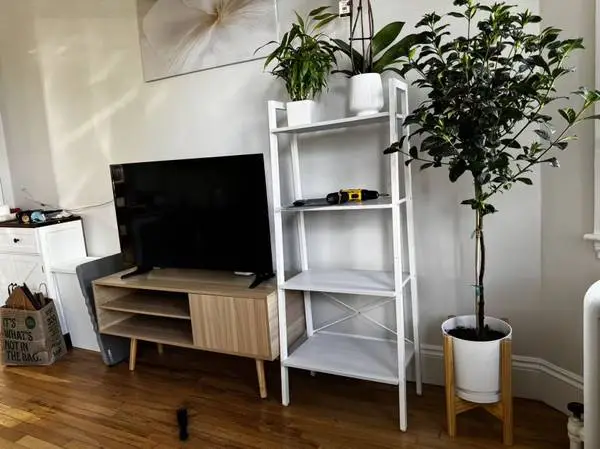 Ladder Bookcase