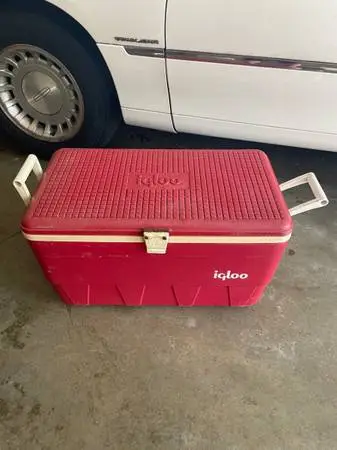 Fridge cooler for party fishing job site big $10