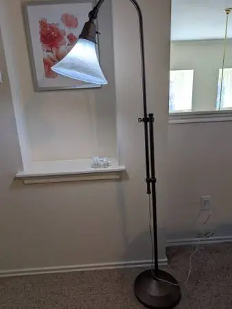 Ottlite Floor Lamp