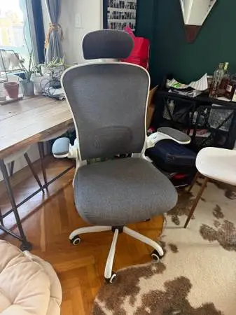 Ergonomic Desk/Office Chair